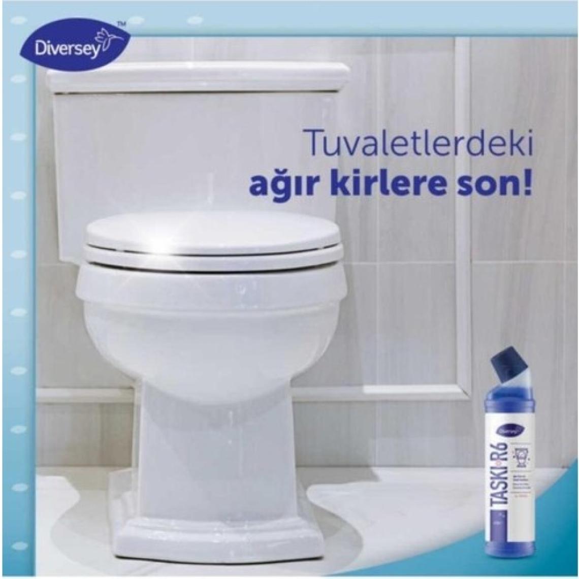 Diversey Taski Room Care R6 Klozet Temizlik Ürünü 0,75 L - Ağır Kirler İçin Etkili ve Ferahlatıcı Koku