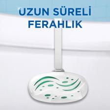 Mr Muscle Klozet Blok Orman Esintisi Tuvalet Temizleyici
