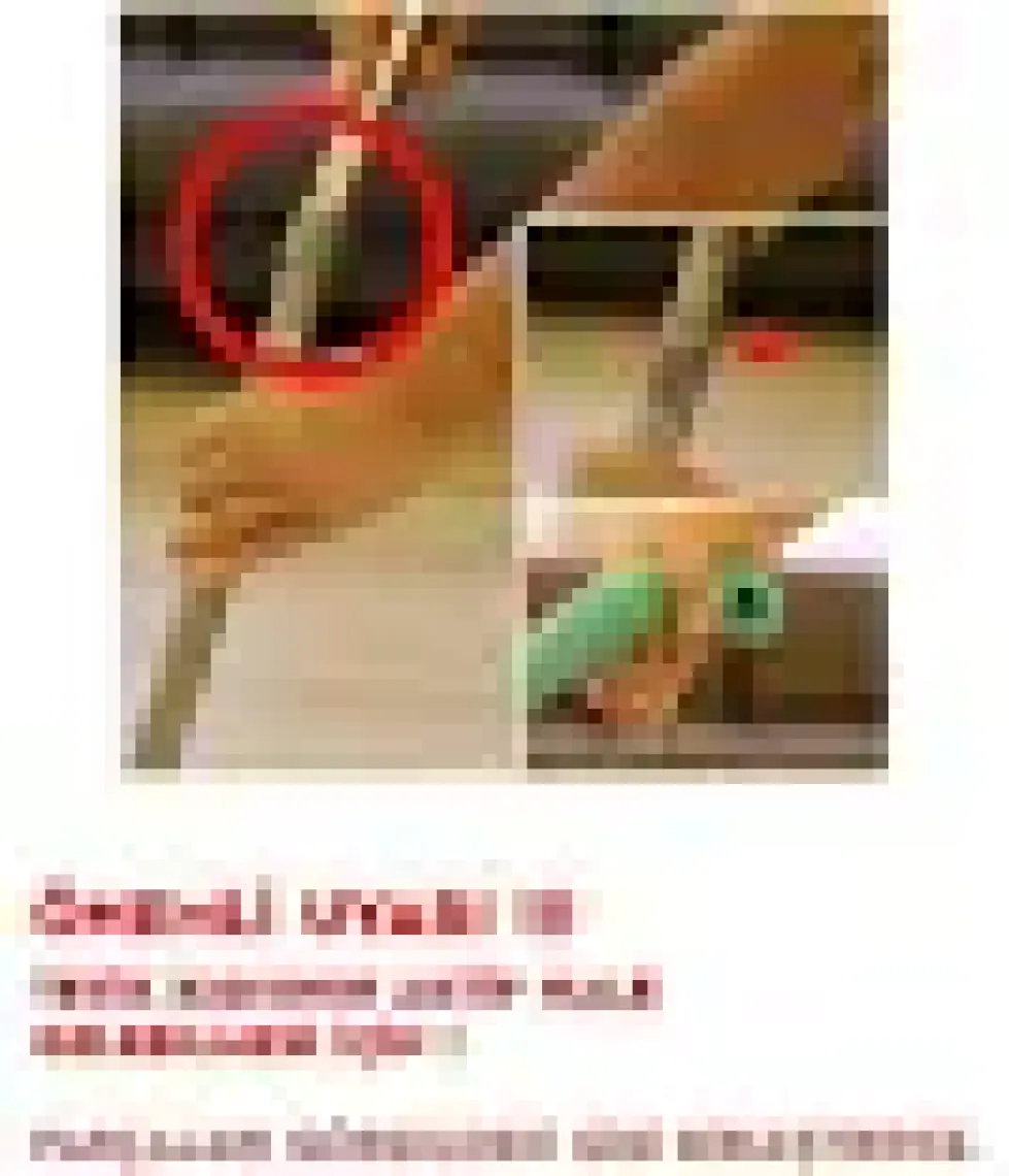 Pony Sprey Mop Set Temizlik Seti