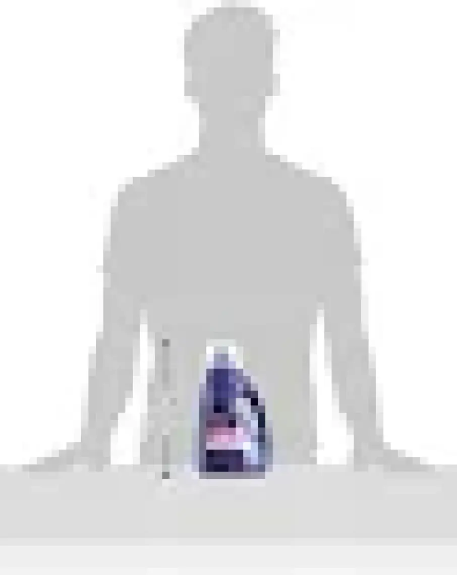 Bissell Wash And Refresh Blossom And Breeze Halı Temizleme Deterjanı