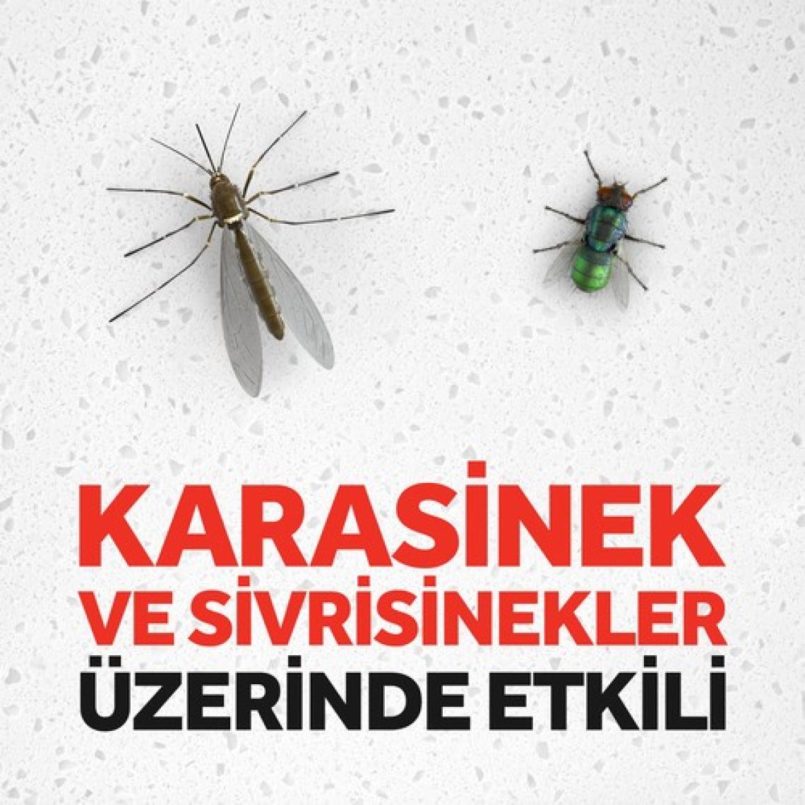 Raid Sineksavar Kokusuz