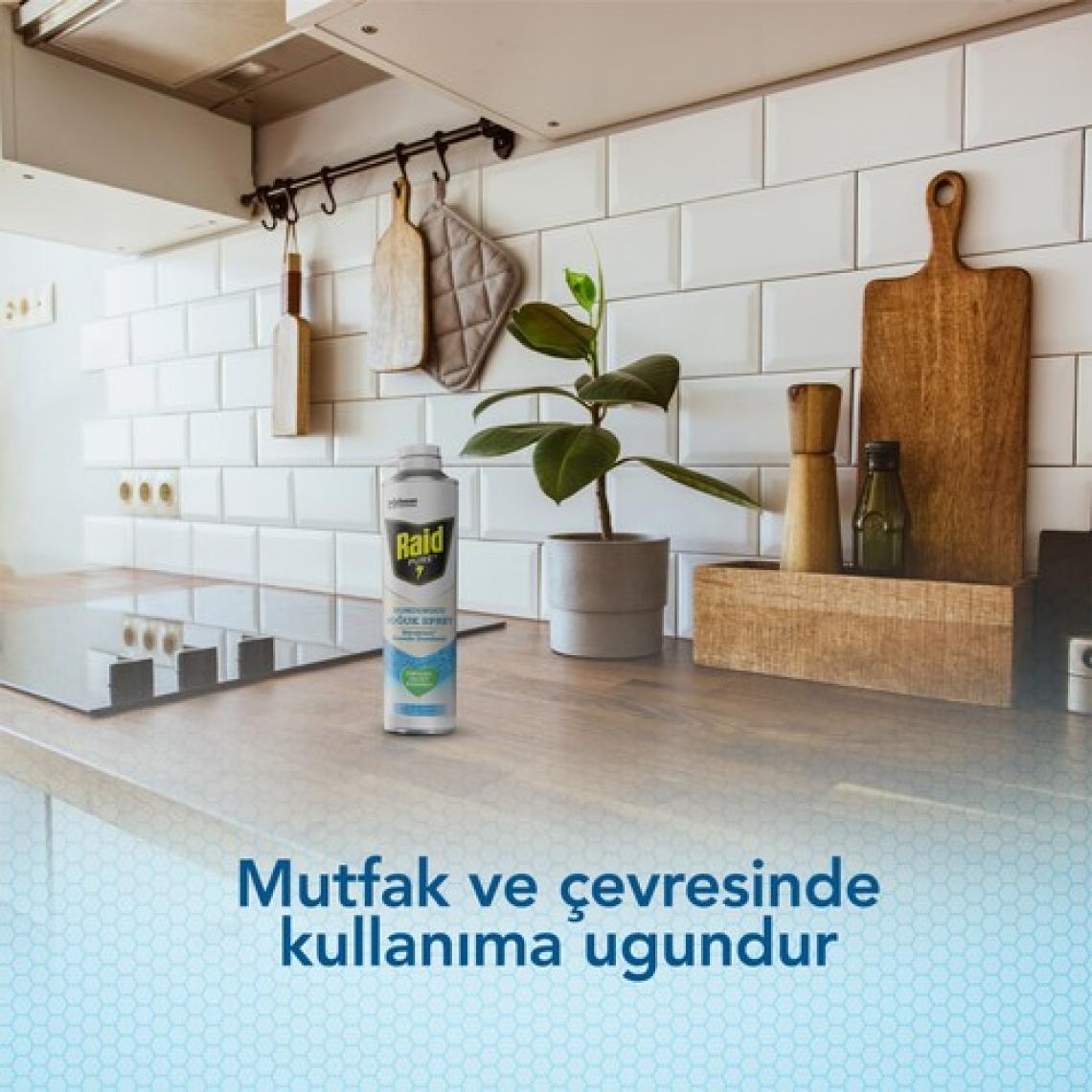 Raid Pure Böcek Dondurucu Sprey 350 ml