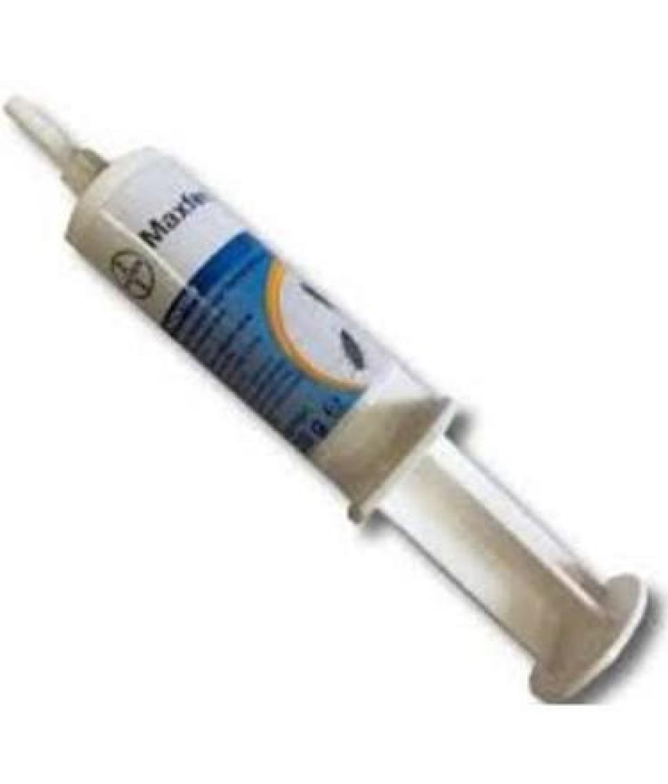 Bayer Maxforce Platin Hamamböceği Jel 20 gr