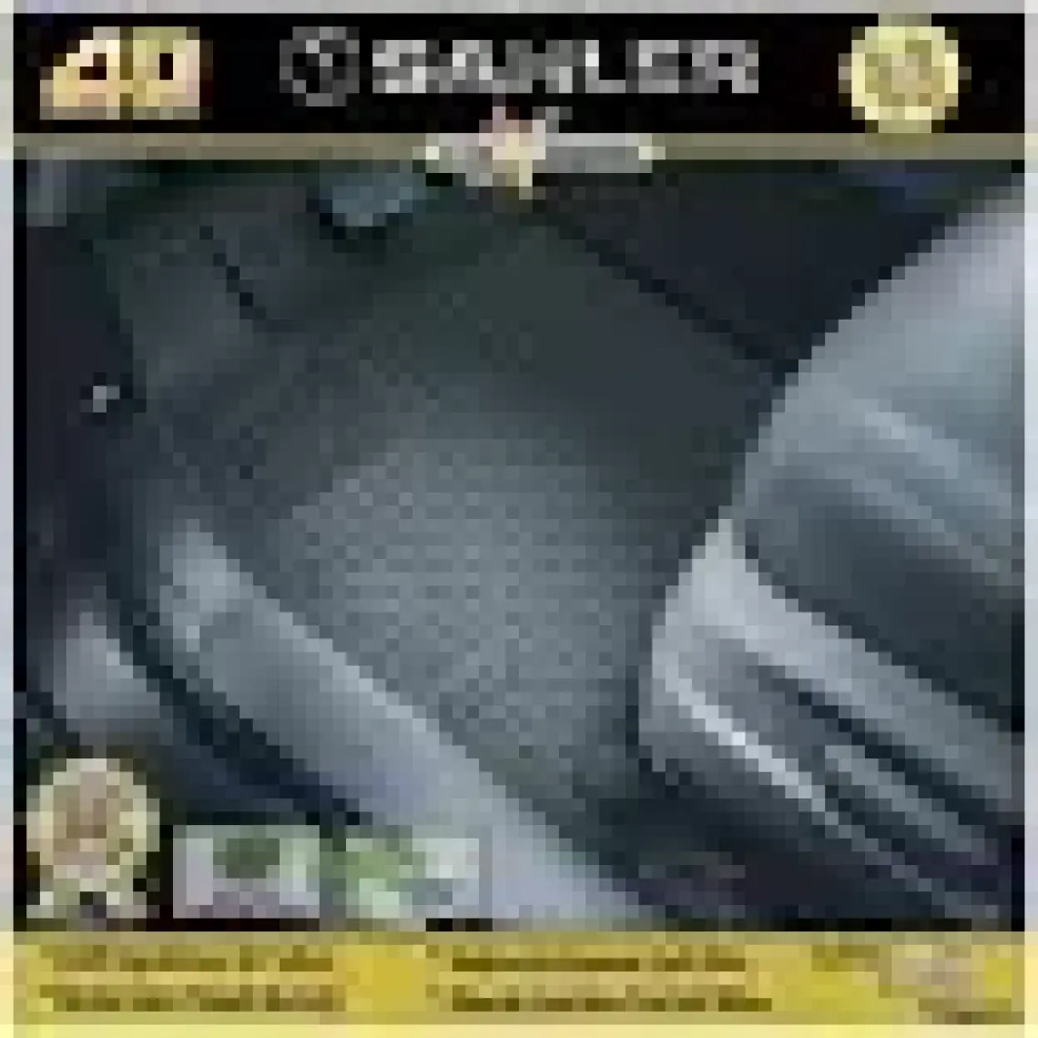 Sahler Renault Megane 4  2016 ve Sonrası 4.5D Havuzlu Paspas Siyah