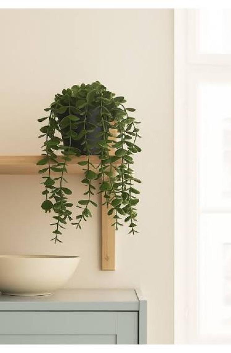 Homing Karışık Saksı Renkli Sarkan Okaliptus Bitki Çiçek 28 Cm 241590