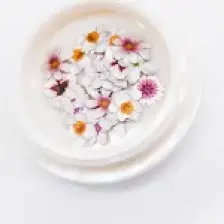Hobizubi 5 D Renkli Mini Çiçek Ilk Bahar Tonları