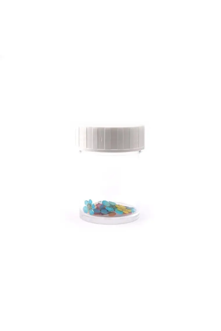 Hobizubi Sakura Mini Kurutulmuş Çiçek Karışık Renk