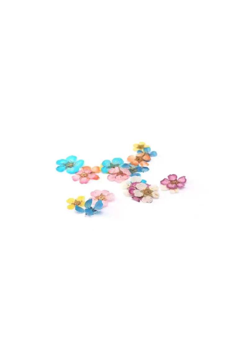 Hobizubi Sakura Mini Kurutulmuş Çiçek Karışık Renk