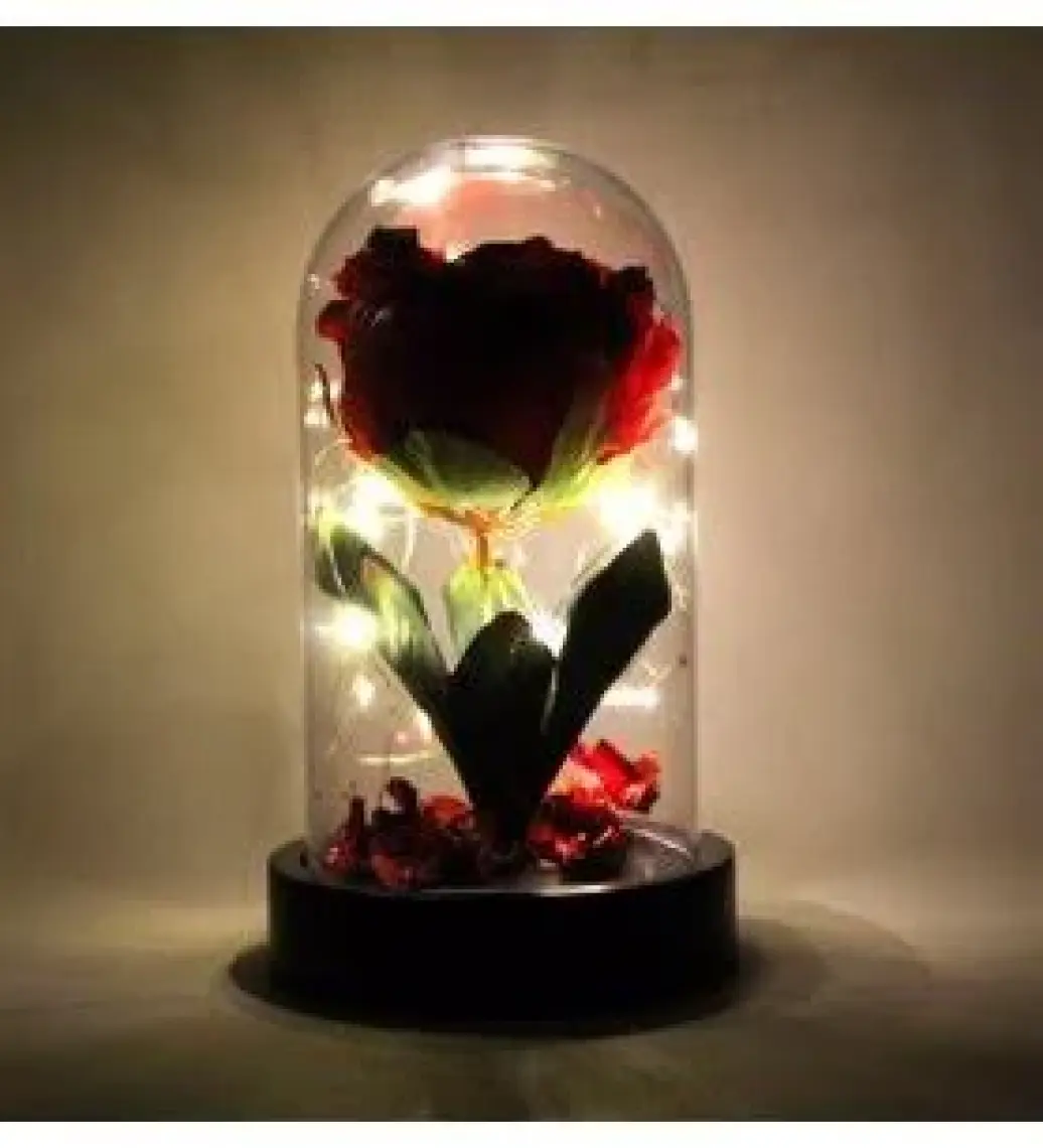 LED Işıklı Fanus Içinde Kırmızı Yapay Gül