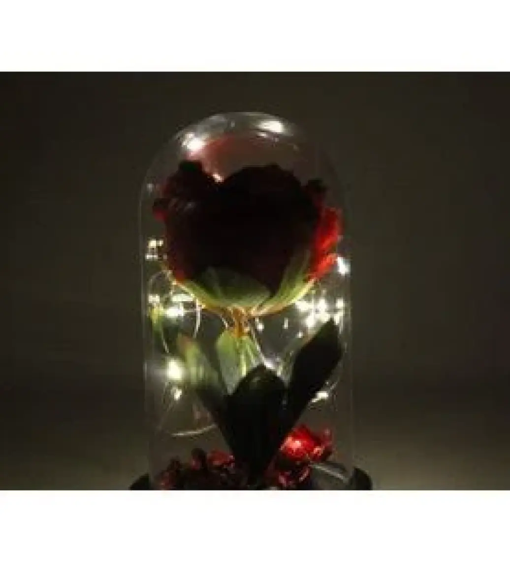 LED Işıklı Fanus Içinde Kırmızı Yapay Gül