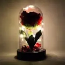 LED Işıklı Fanus Içinde Kırmızı Yapay Gül