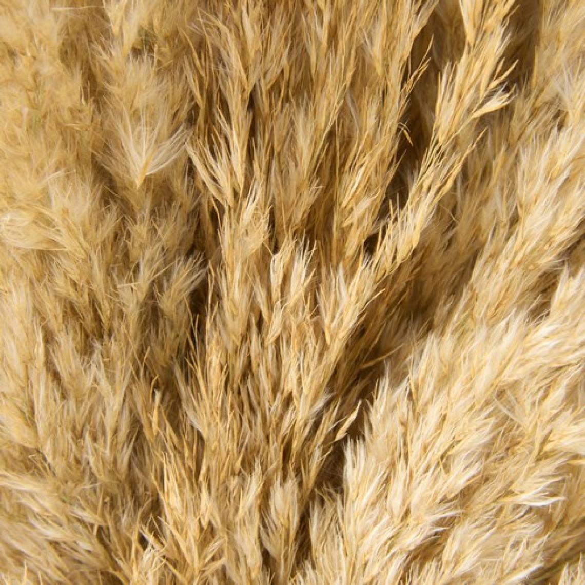 Evidea Deco Pampas Yapay Çiçek - Bej - 90X20 cm