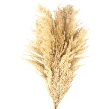 Evidea Deco Pampas Yapay Çiçek - Bej - 90X20 cm
