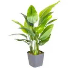 Saksıda Yapay Ağaç Starliçe Gerçek Dokulu 15 Yaprak Yeşil 63 Cm.