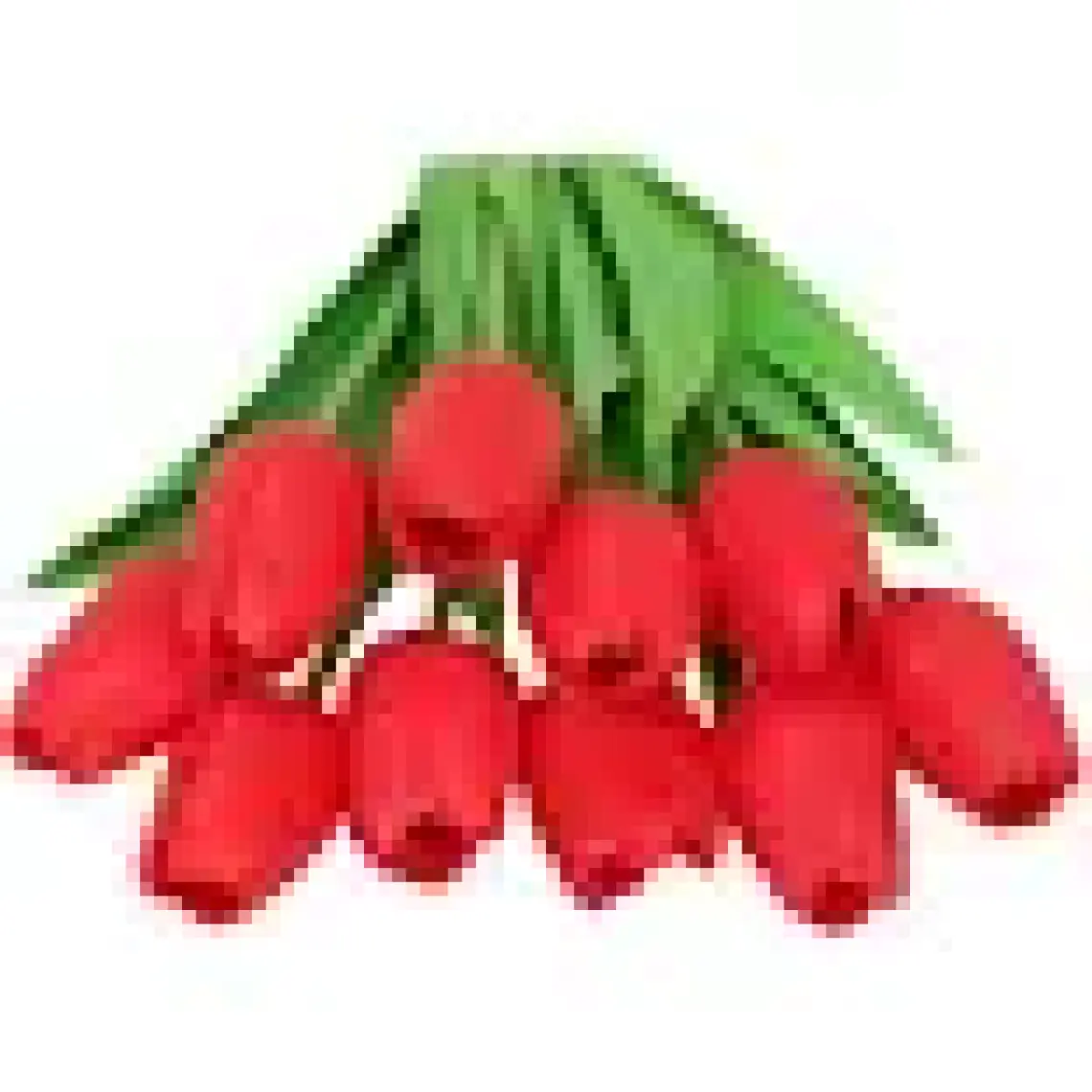 Objevi Dekoratif Yapay Lale - Kırmızı