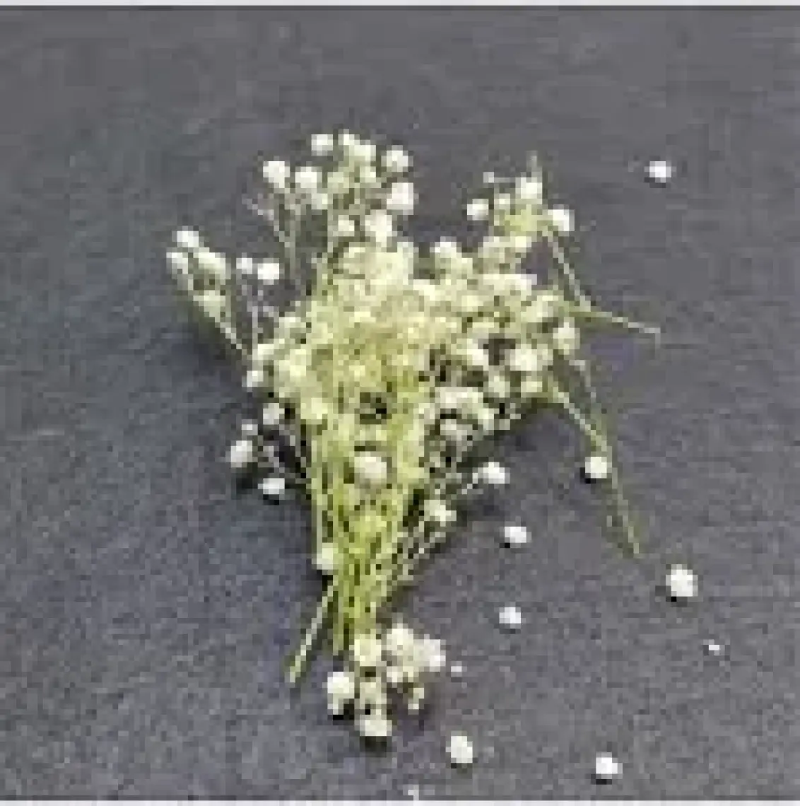 Hobizubi Kurutulmuş Çiçek - Mini Demet