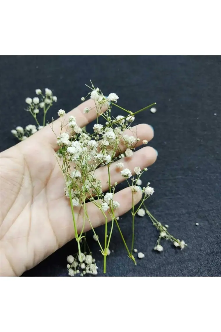 Hobizubi Kurutulmuş Çiçek - Mini Demet