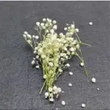 Hobizubi Kurutulmuş Çiçek - Mini Demet