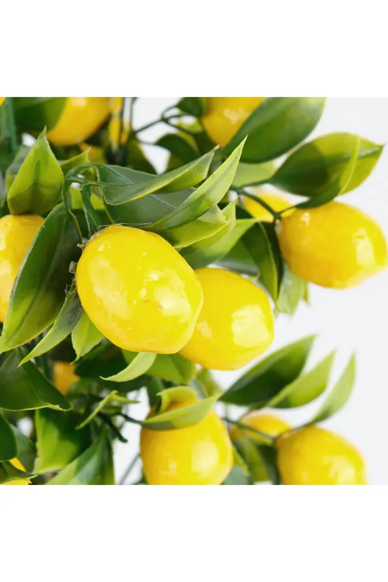 Çiçekmisin Porselen Saksıda Yapay Limon Ağacı