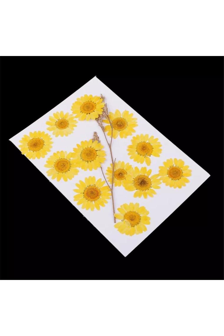 Hobizubi Kurutulmuş Papatya Yumurta Sarı 10'lu