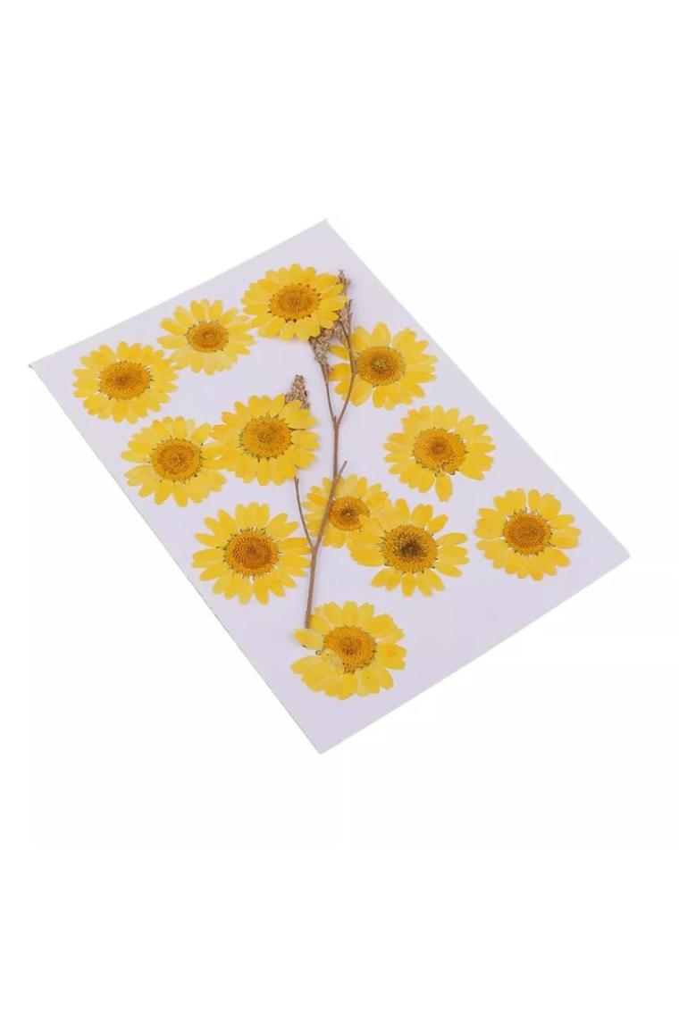 Hobizubi Kurutulmuş Papatya Yumurta Sarı 10'lu