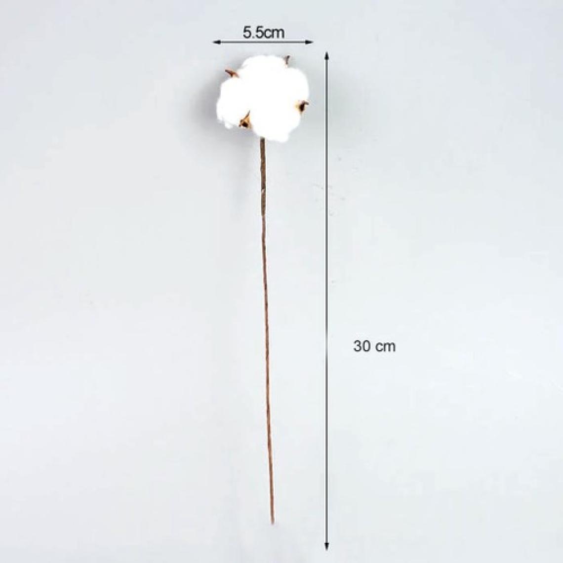 Nettenevime Doğal Pamuk Çiçeği 10 Adet Tekli Dal Kuru Çiçek 30 cm Yapay Çiçek