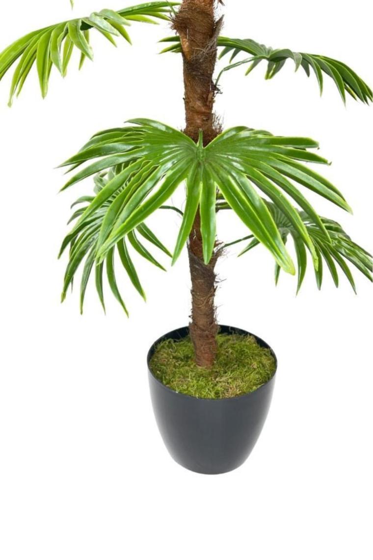 Nettenevime Yapay Ağaç Yelpaze Palmiye Fanpalm 16 Yaprak 115*55CM