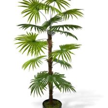 Nettenevime Yapay Ağaç Yelpaze Palmiye Fanpalm 16 Yaprak 115*55CM