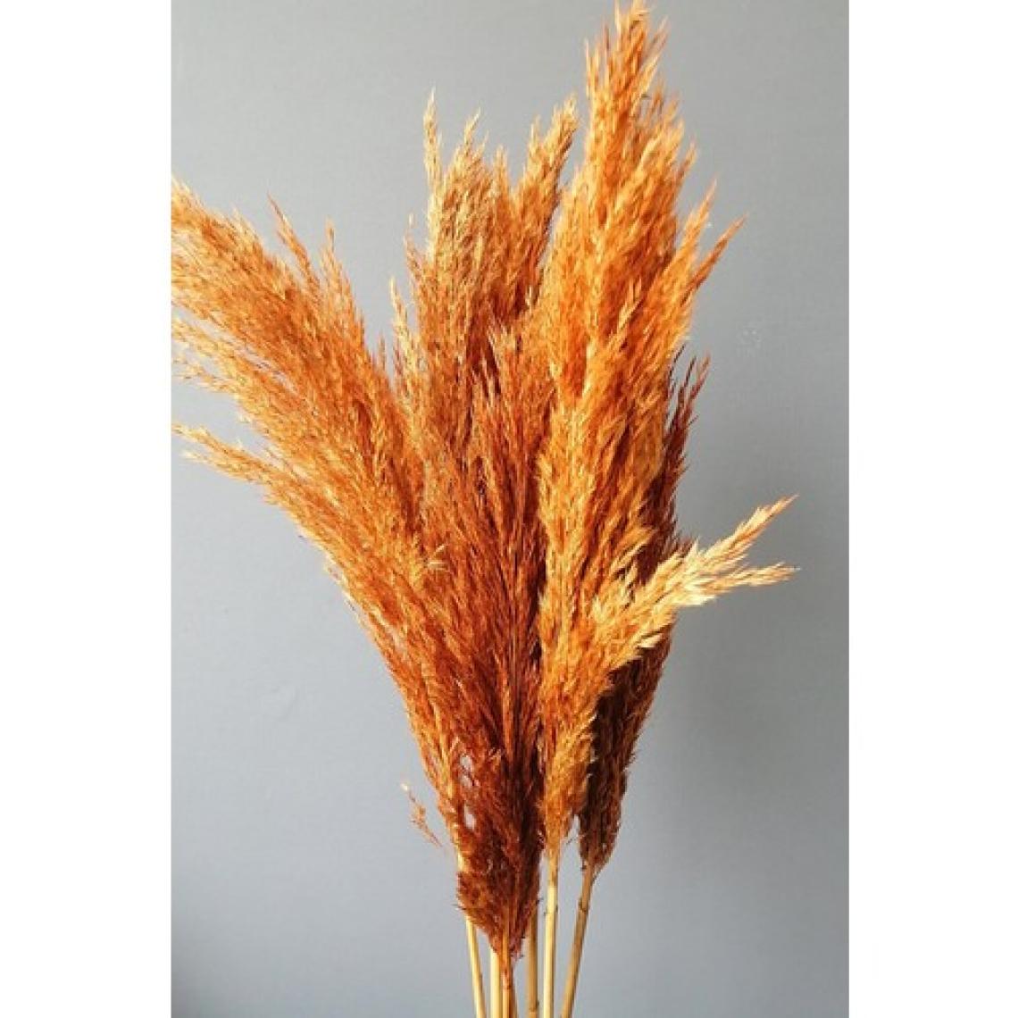 Alyones 8'li Büyük Demet Pampas Turuncu 100CM Boyunda