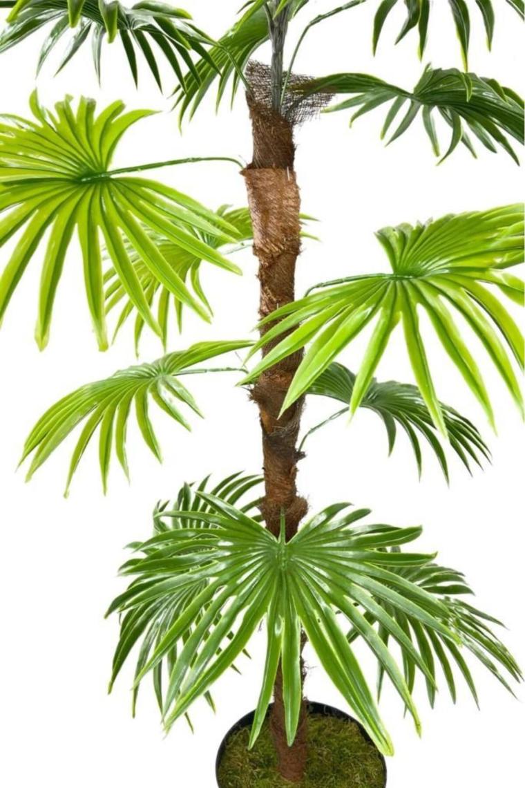 Nettenevime Yapay Ağaç Yelpaze Palmiye Fanpalm 16 Yaprak 115*55CM