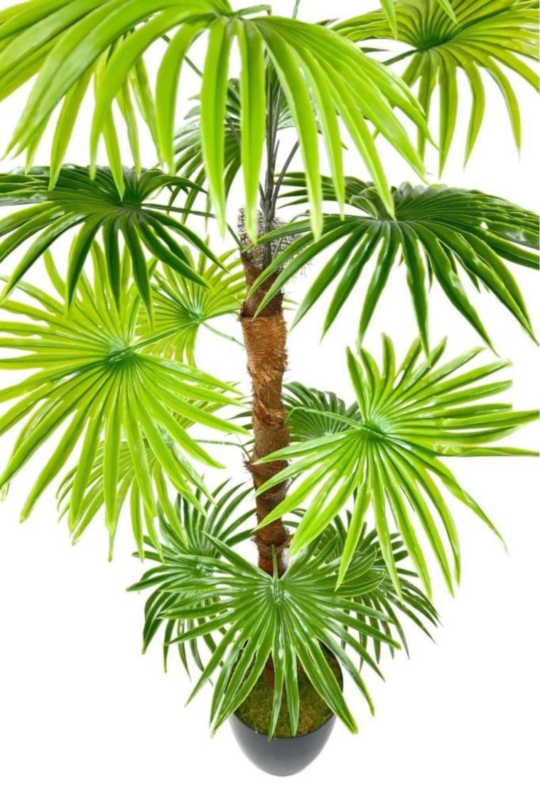 Nettenevime Yapay Ağaç Yelpaze Palmiye Fanpalm 16 Yaprak 115*55CM