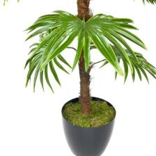 Nettenevime Yapay Ağaç Yelpaze Palmiye Fanpalm 16 Yaprak 115*55CM
