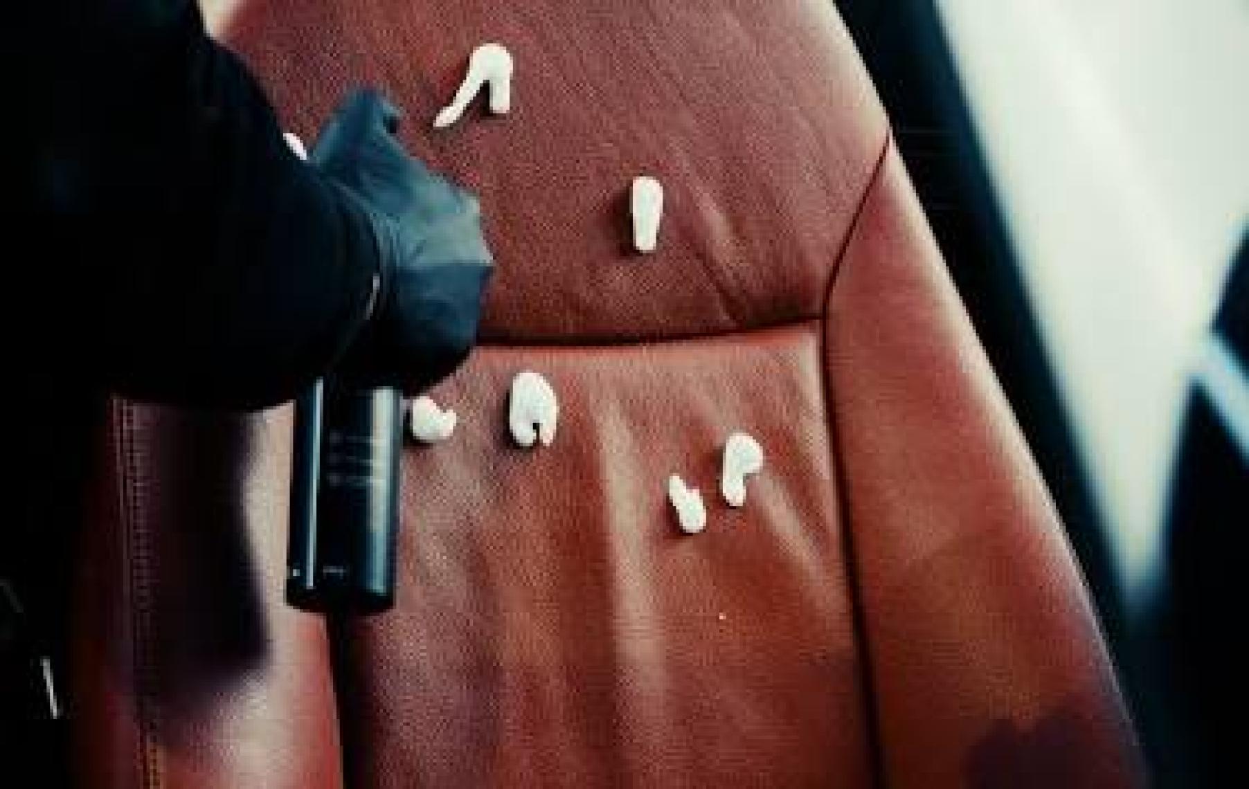 Nasiol Leather Cleaner Araç,Ev,Ofis Deri Yüzeyler için Premium Köpük Temizleyici-Deri Bakımı-250gr