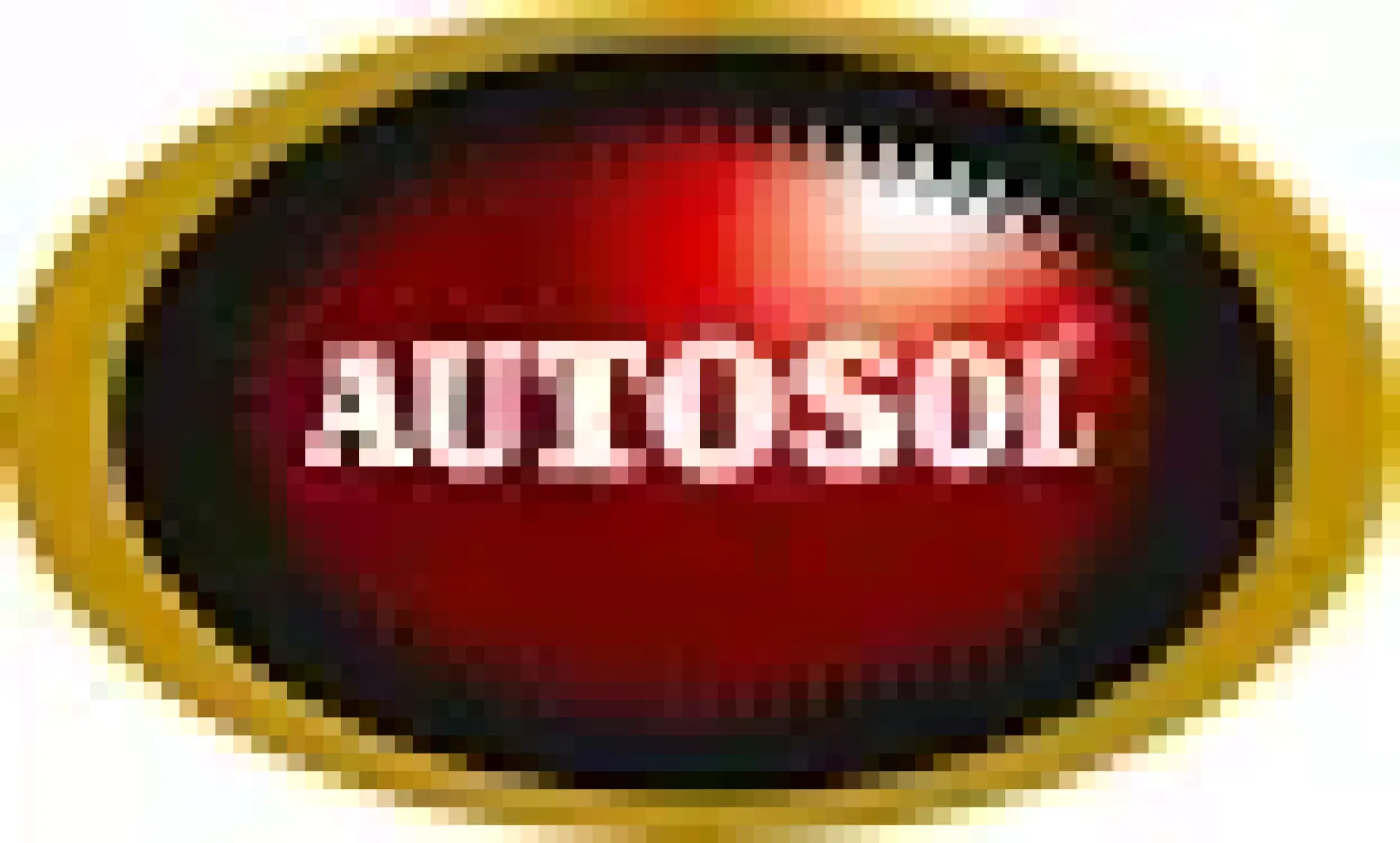 Autosol Dinamik Üçü Bir Arada Tek Adım Pasta Cila Boya Koruma