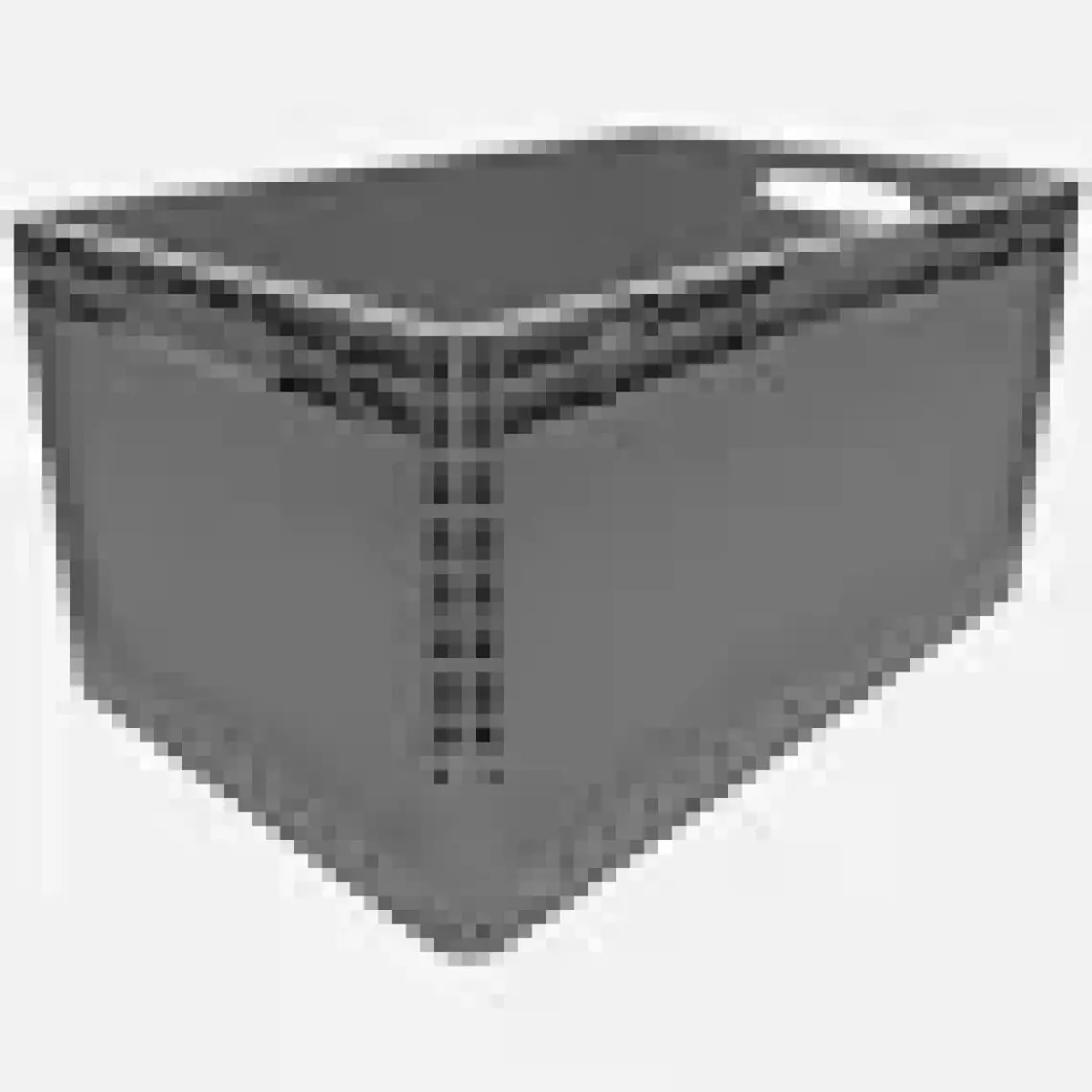 Alpin Euronorm Kapalı Taşıma Kasası 66 Lt Gri