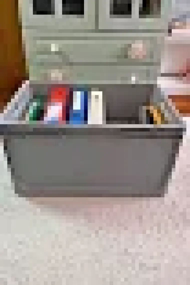 Alpin Euronorm Kapalı Taşıma Kasası 66 Lt Gri