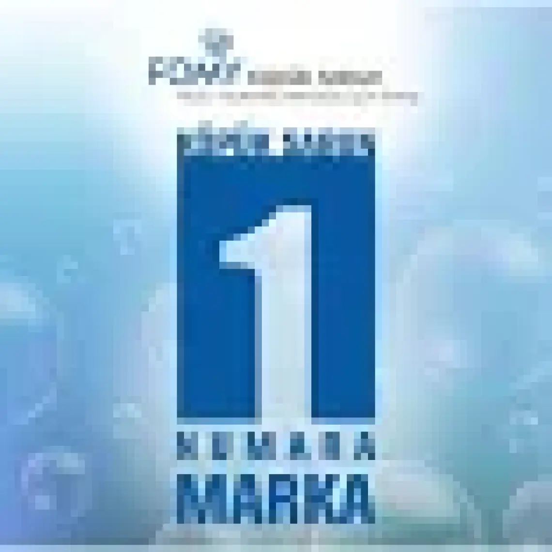 Fomy Sanayi El Temizlik Köpüğü 1000 ml