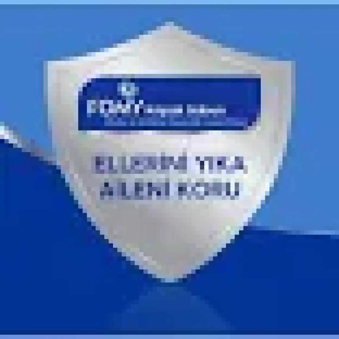 Fomy Sanayi El Temizlik Köpüğü 1000 ml
