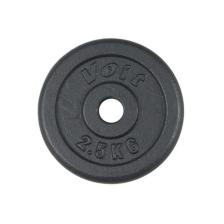 Voit Pl101 2,5 Kg Döküm Flanş Ağırlık Plaka