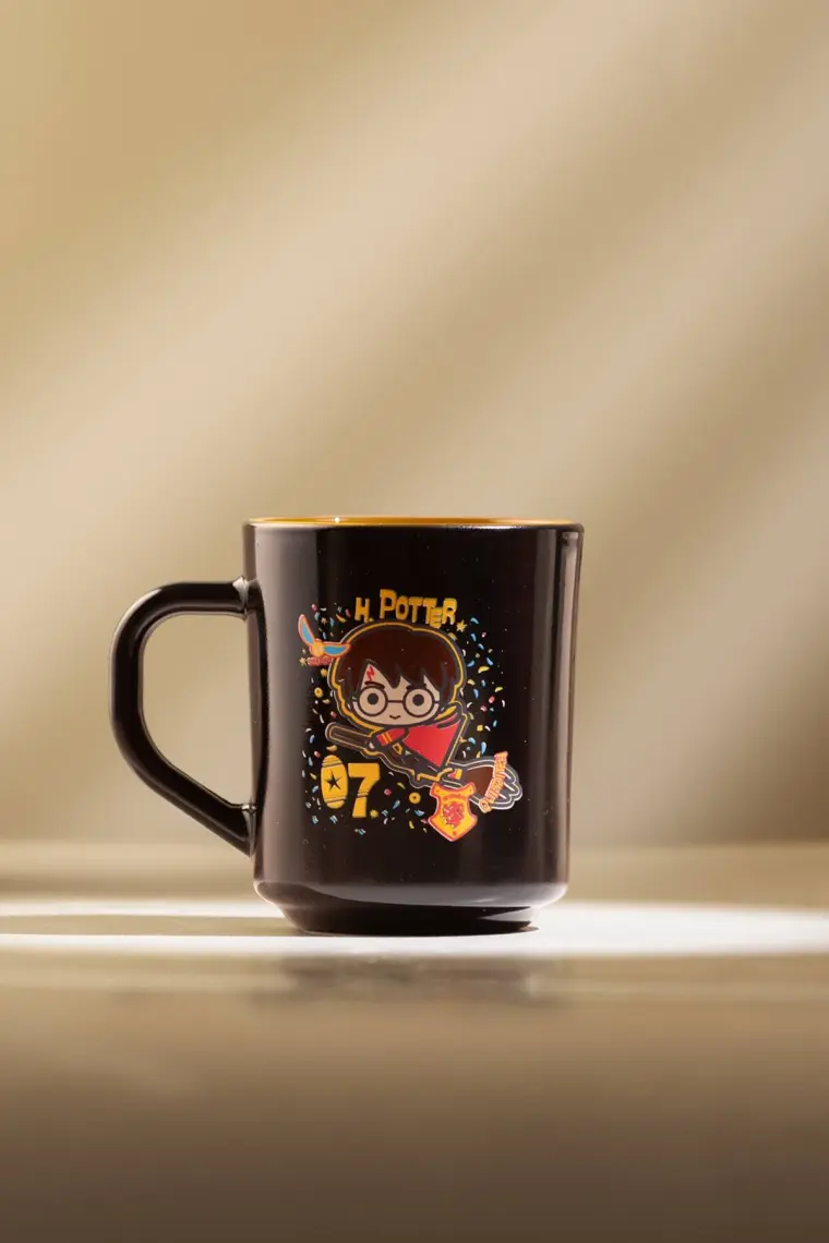 Rakle Harry Potter Kupa Siyah 246 cc