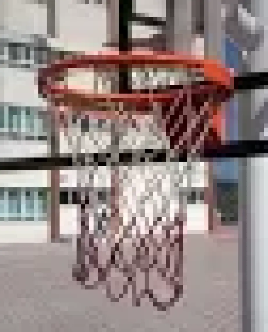 Adelinspor Standart Basketbol Çemberi 45 cm Sabit , Halkalı Ağ Bağlantısı