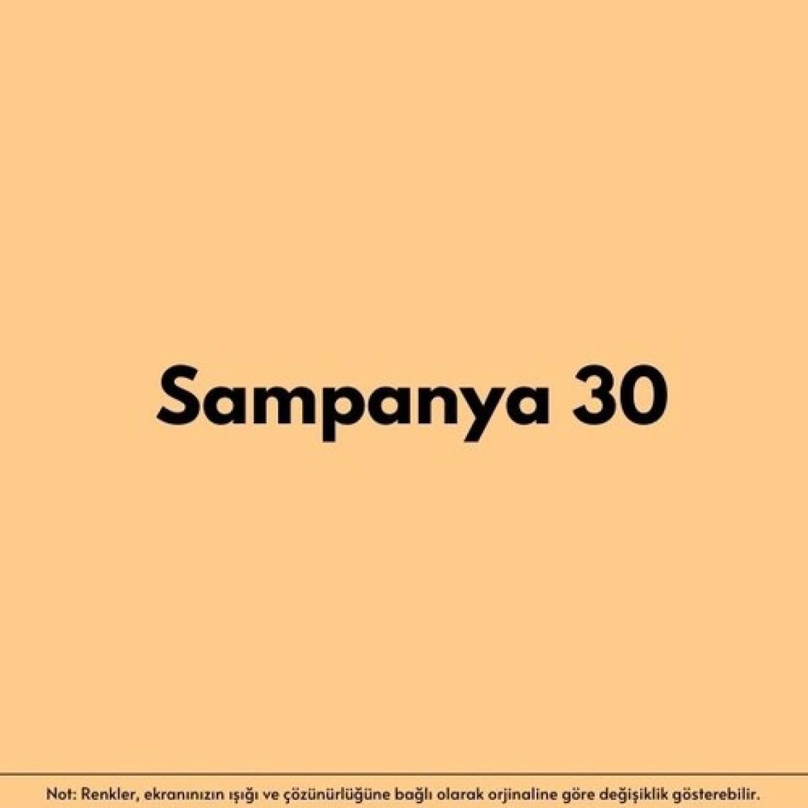 Izower Silikonlu Dış Cephe Boyası - Sampanya 30 ( 3.5 kg )