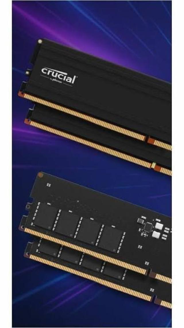 Crucial Pro 16GB DDR5-5600 Udımm CL46 Masaüstü Pc Ram Bellek CP16G56C46U5