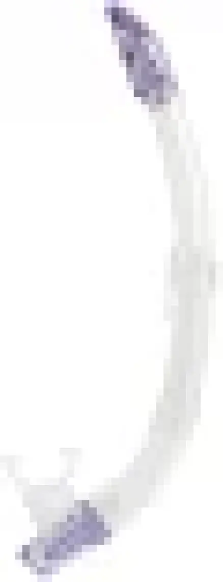 Cressi Gamma Şnorkel