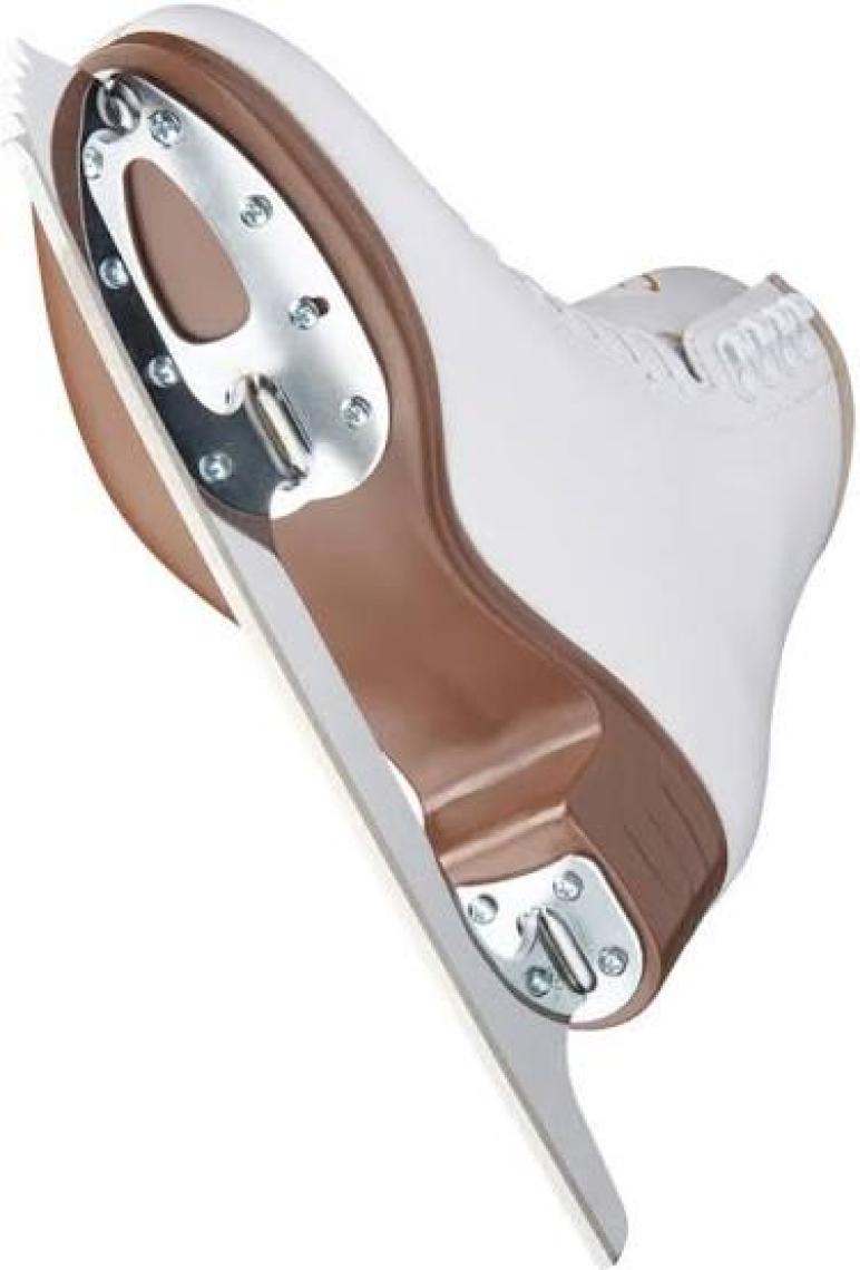 Jackson Excel 1290 Buz Pateni