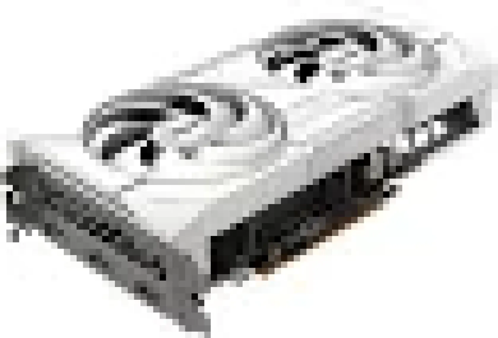 Sapphıre VGA Amd 16GB Gddr6 RX9060XT Pure 11350-02-20G