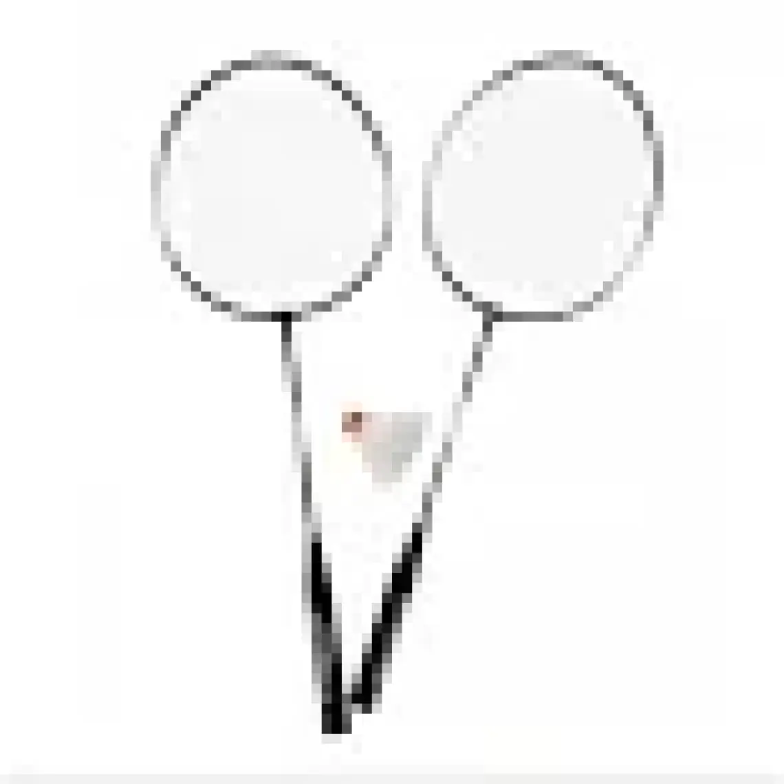 Sportica SDB 65 Badminton Raket seti 2 Raket +2 Top