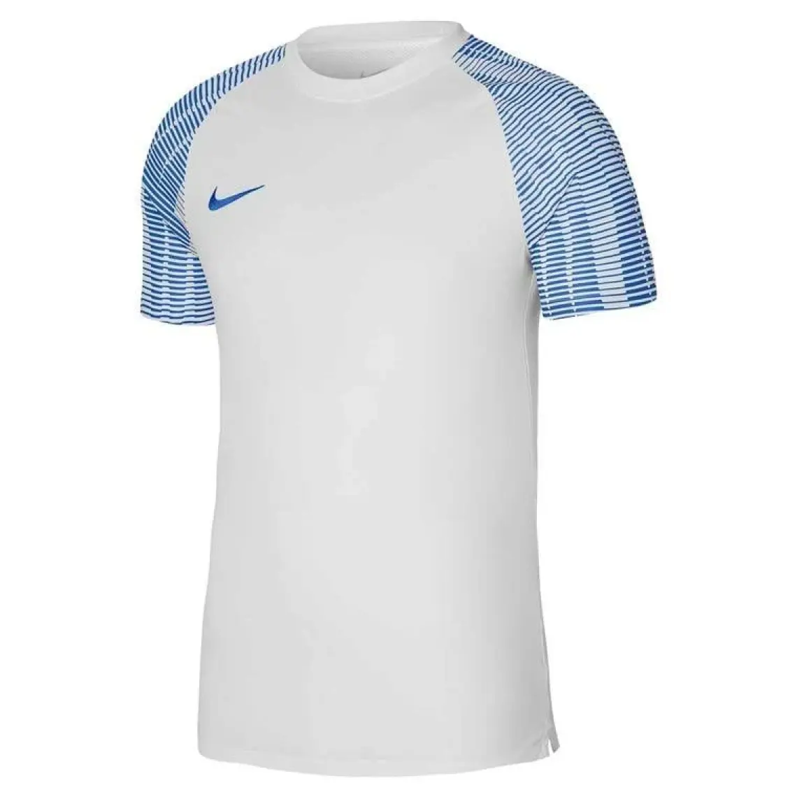 Nike DH8031-104 M Nk Df Academy Jsy Ss Erkek Futbol Forma