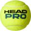 Head Pro Tenis Topu 3'lü Kutu