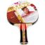 Butterfly Mıchael Maze Gold Masa Tenisi Raketi 85062